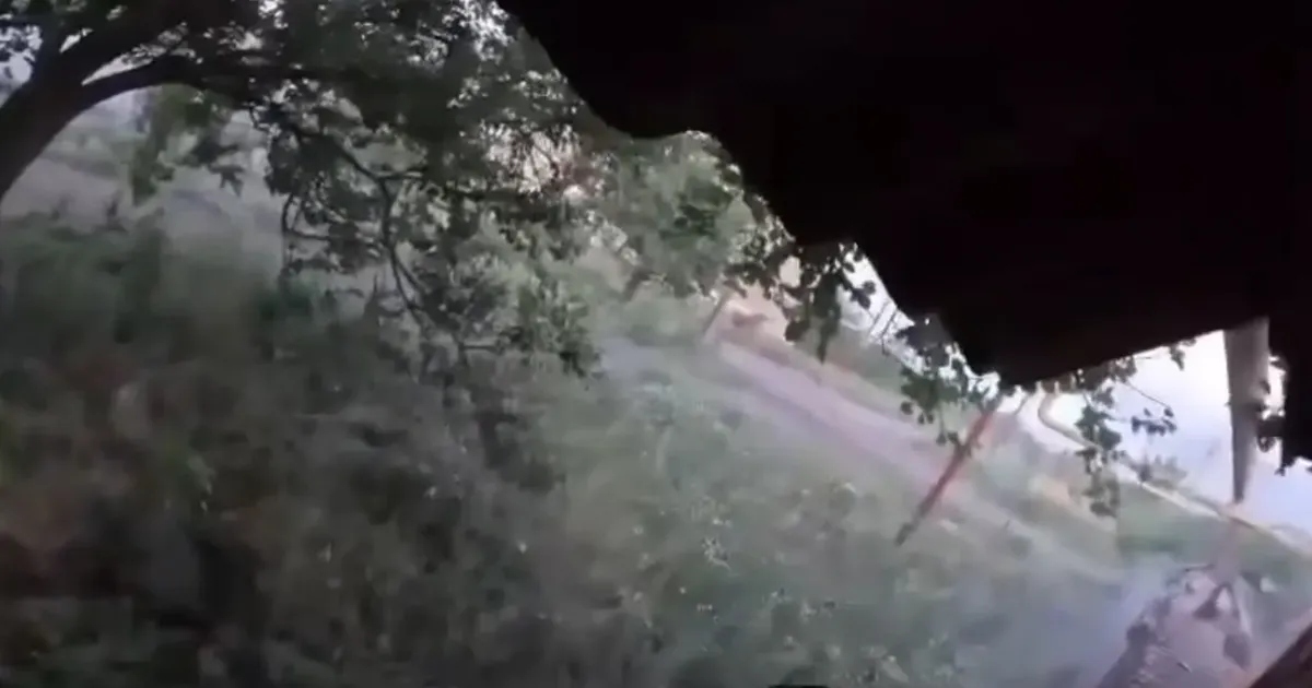 Скриншот з відео Люте сафарі: вуличні бої у Вовчанську на порталі Gromada Group