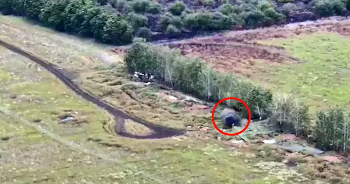 Скриншот з відео Позиції ворога на Вовчанщині нищить бригада «Гарт» на порталі Gromada Group