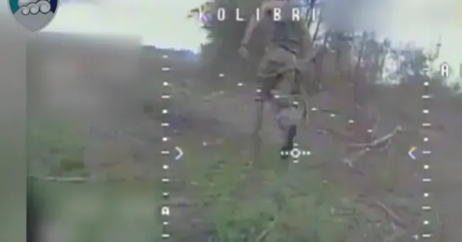 Скриншот з відео Морпіхи влаштували прицільне полювання на окупантів у Вовчанському лісі на порталі Gromada Group